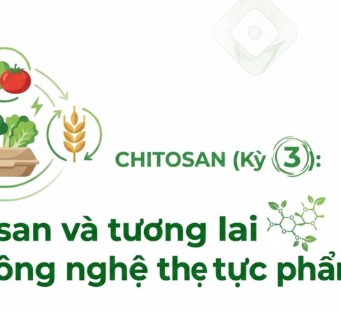 CHITOSAN – TỪ VỎ TÔM ĐẾN CÔNG NGHỆ BẢO QUẢN THỰC PHẨM HIỆN ĐẠI