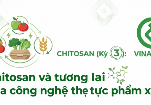 CHITOSAN – TỪ VỎ TÔM ĐẾN CÔNG NGHỆ BẢO QUẢN THỰC PHẨM HIỆN ĐẠI