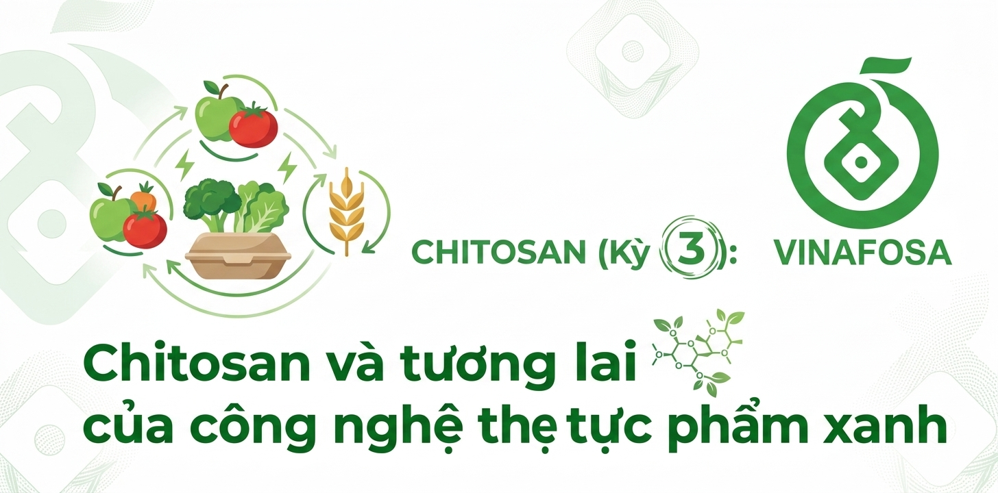 Chitosan góp phần thúc đẩy kinh tế tuần hoàn, giảm rác thải nhựa và phát triển công nghệ thực phẩm xanh. Khám phá tiềm năng và thách thức của vật liệu sinh học này.