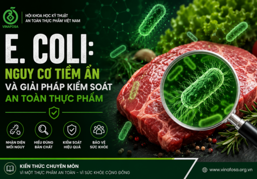 E. COLI – MỐI NGUY VI SINH TRONG THỰC PHẨM