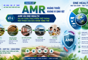 ĐIỂM TIN ATTP (19/08/2026)
