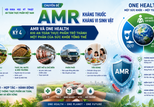 ĐIỂM TIN ATTP (19/08/2026)