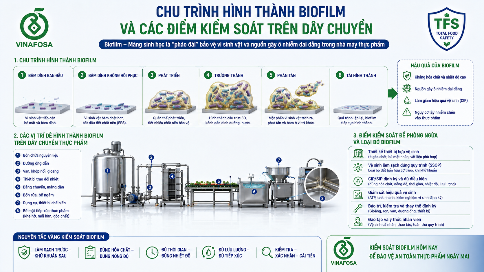 Khám phá vai trò của khử khuẩn trong ngành thực phẩm, sự khác biệt giữa làm sạch, khử khuẩn và tiệt trùng; nguy cơ từ ô nhiễm chéo, biofilm và nấm mốc trong chuỗi thực phẩm.