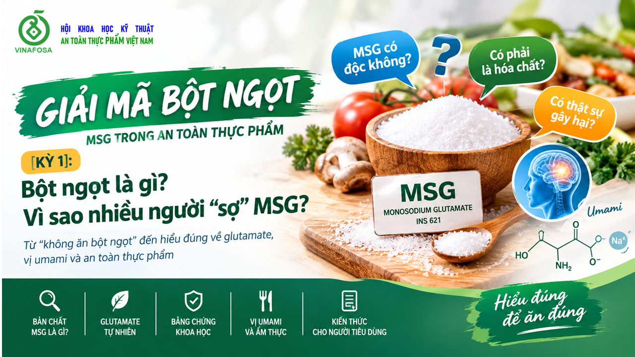 Bột ngọt là gì? Vì sao nhiều người sợ MSG? – Kỳ 1 | VINAFOSA