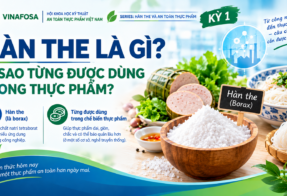 ĐIỂM TIN ATTP (21/09/2026)