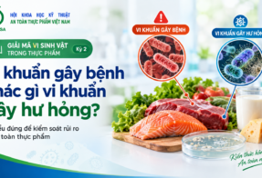 ĐIỂM TIN ATTP (14/09/2026)