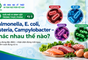 ĐIỂM TIN ATTP (15/09/2026)