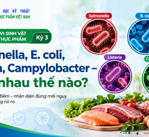 ĐIỂM TIN ATTP (15/09/2026)