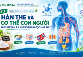 ĐIỂM TIN ATTP (22/09/2026)