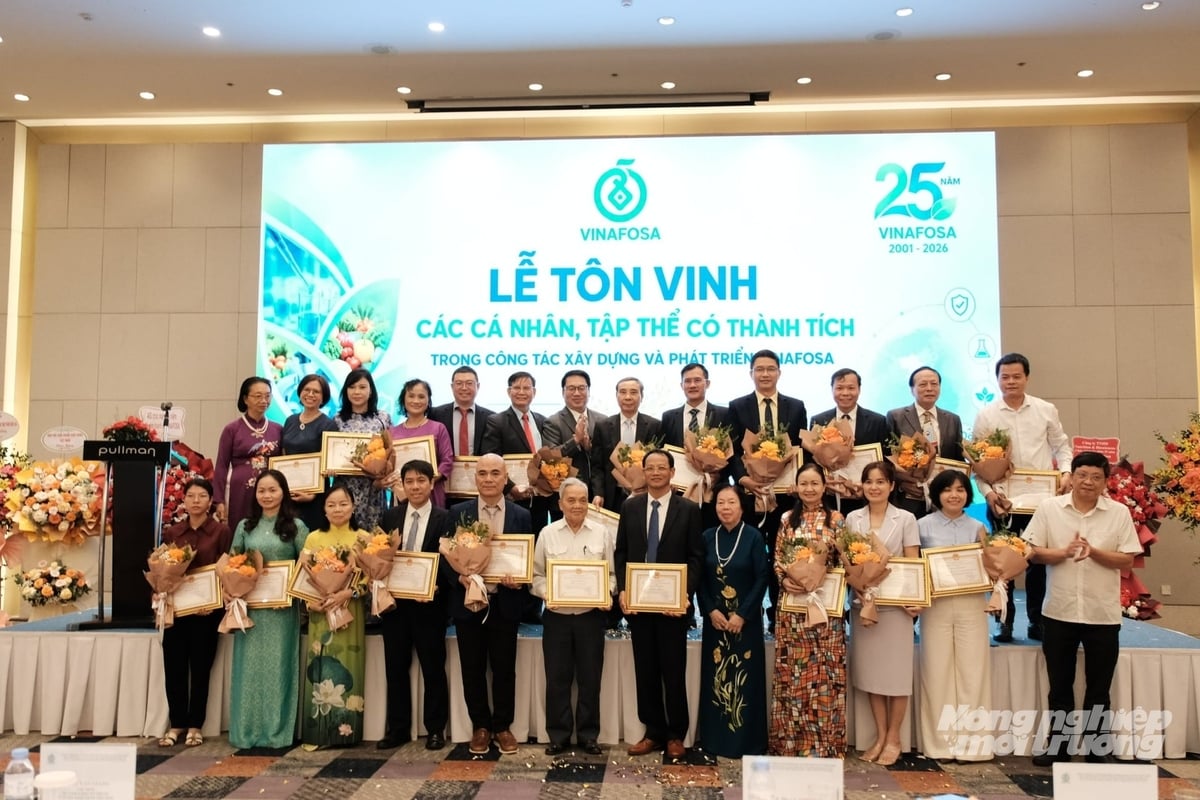 VINAFOSA tôn vinh các tập thể, cá nhân có nhiều đóng góp trong công tác xây dựng và phát triển Hội tại Lễ kỷ niệm 25 năm thành lập. Ảnh: Thanh Trang.