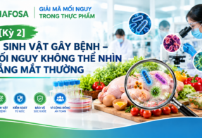 ĐIỂM TIN ATTP (16/10/2026)