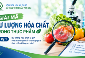 GIẢI MÃ DƯ LƯỢNG HÓA CHẤT TRONG THỰC PHẨM